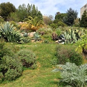 Botanical Garden of Nice