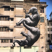 Elephants in Bangkok