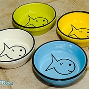 Cat Dishes