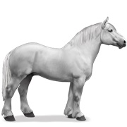 Percheron - Light Gray