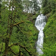 Munson Creek Falls State Natural Site, Oregon