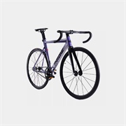 Throne Tracklord 2019