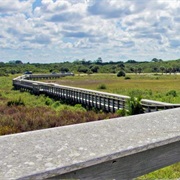 Anastasia State Park, Florida