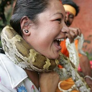 Wear a Snake Around My Neck