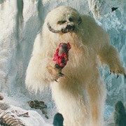 Wampa