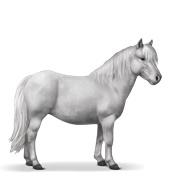 Shetland - Light Gray