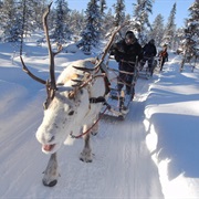 Reindeer Sled