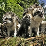 Lake District National Park, England