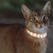 Zunar-J-5/9 Doric-4-7 "Jake"