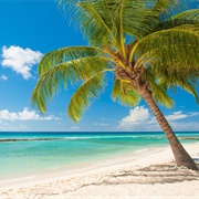 Saint Kitts and Nevis