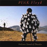 Pink Floyd - Delicate Sound of Thunder