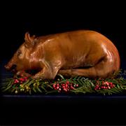Suckling Pig