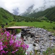 Nanda Devi and Valley of Flowers National Parks