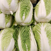 Napa Cabbage