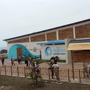 Visit Parque Marino Valdivia