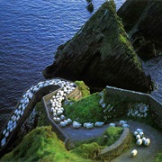 Sheep Highway, Dingle Peninsula, Ireland