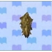 Bagworm
