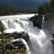 Athabasca Falls, Alberta