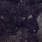 Pinkish Black- Razed to the Ground