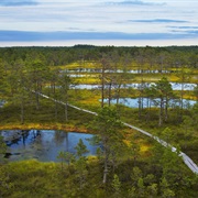 Lahemaa NP / Pohja Korvemaa NR, Estonia