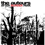 The Auteurs - After Murder Park