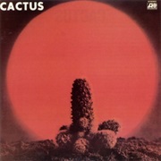 Cactus Cactus