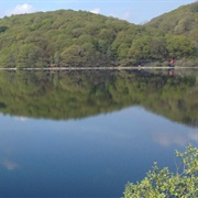 Tarn Hows and Coniston (NT)