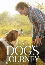 A Dog's Journey (2019)