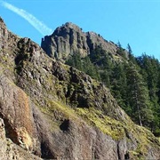 Seneca Fouts Memorial State Natural Area, Oregon