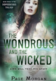 The Wicked and the Wondrous (Page Morgan)