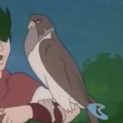 Arrow (Young Robin Hood)