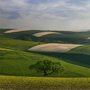 Cranborne Chase AONB