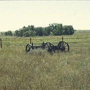 Lower Cimarron Spring