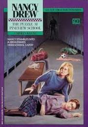 The Puzzle at Pineview School