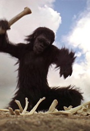 The Bone Club, 2001: A Space Odyssey (1968)