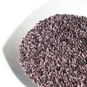 Purple Rice