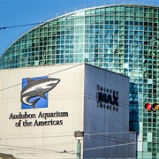 Aquarium of the Americas, NOLA