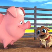 Puppy Dog Pals Season 1 Episode 8 Pigs and Pugs/Bob Loves Mona
