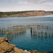 Grand Manan Island, NB, Canada
