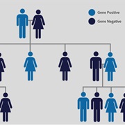 Huntington's Disease