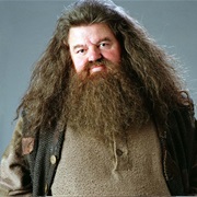 Rubeus Hagrid