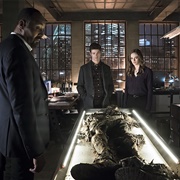 Who Is Harrison Wells