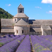 Abbaye Notre-Dame De Sénanque, Gordes