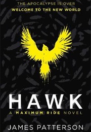 Hawk (James Patterson)
