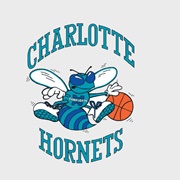 Charlotte Hornets