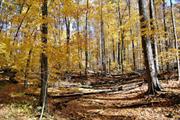 Haven Hill Natural Area (Michigan)