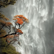 Punchbowl Falls, New Zealand