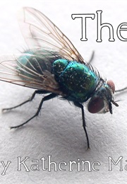 The Fly (Katherine Mansfield)