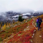 Maple Pass Loop/Lake Ann, Washington