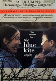 The Blue Kite (1993)